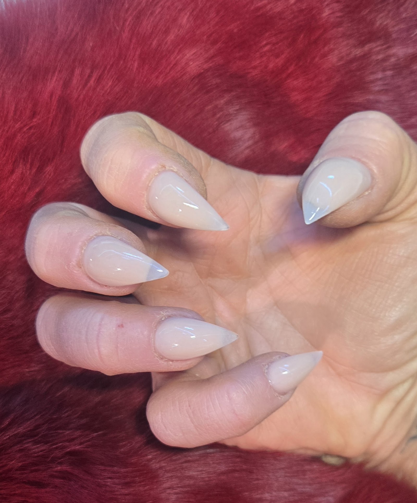 The Nails and Lashes nail photo 6